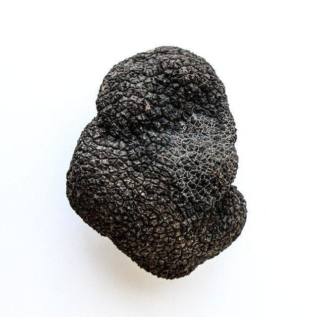 Tuber Aestivum